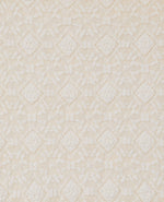 Load image into Gallery viewer, Lace Maxi Skirt | Sheer Overlay and Straight Silhouette