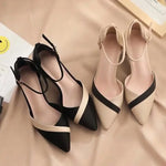Load image into Gallery viewer, Block Heel Ankle Strap Pumps | Contrast Band | Pointed Toe