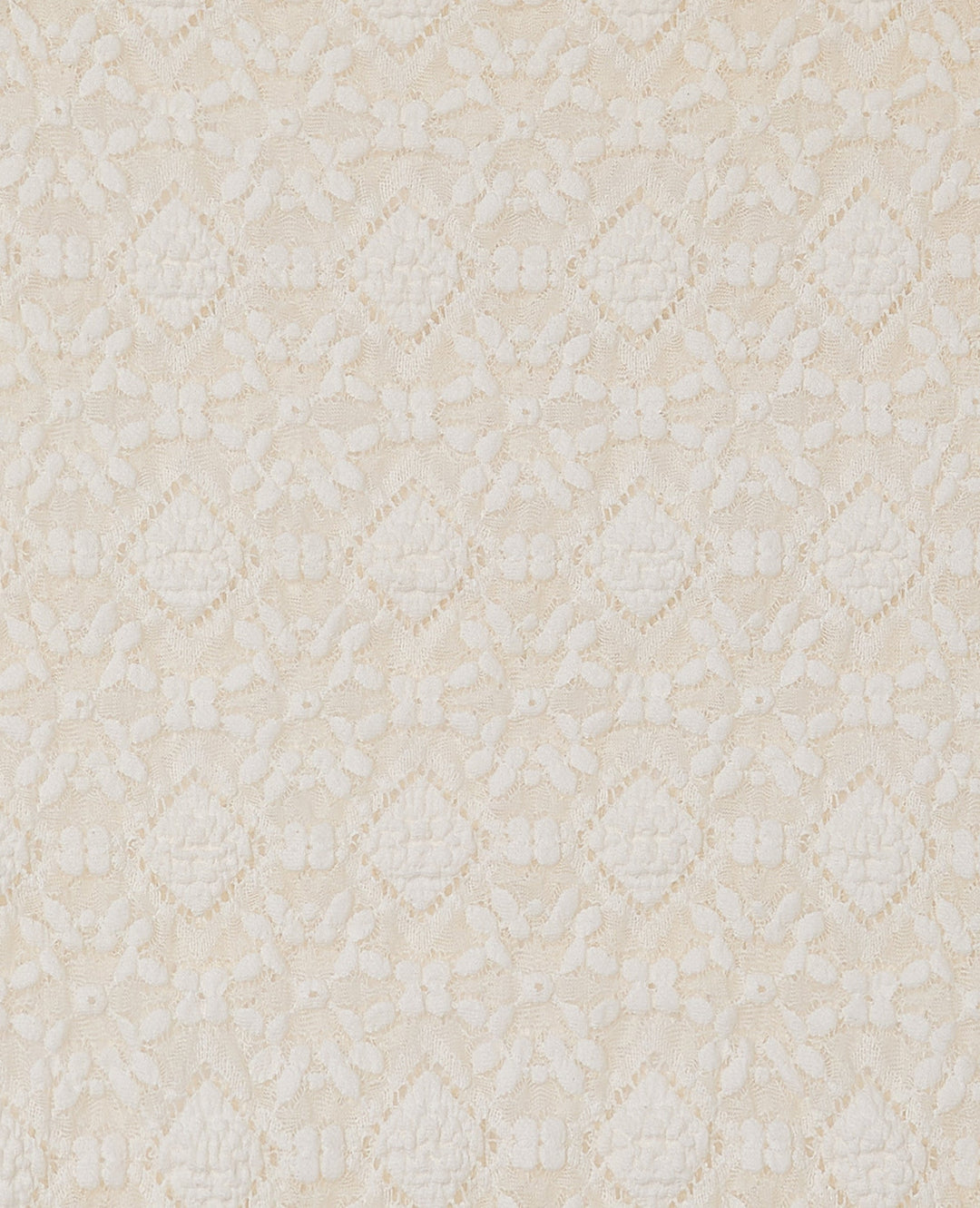 Lace Maxi Skirt | Sheer Overlay and Straight Silhouette