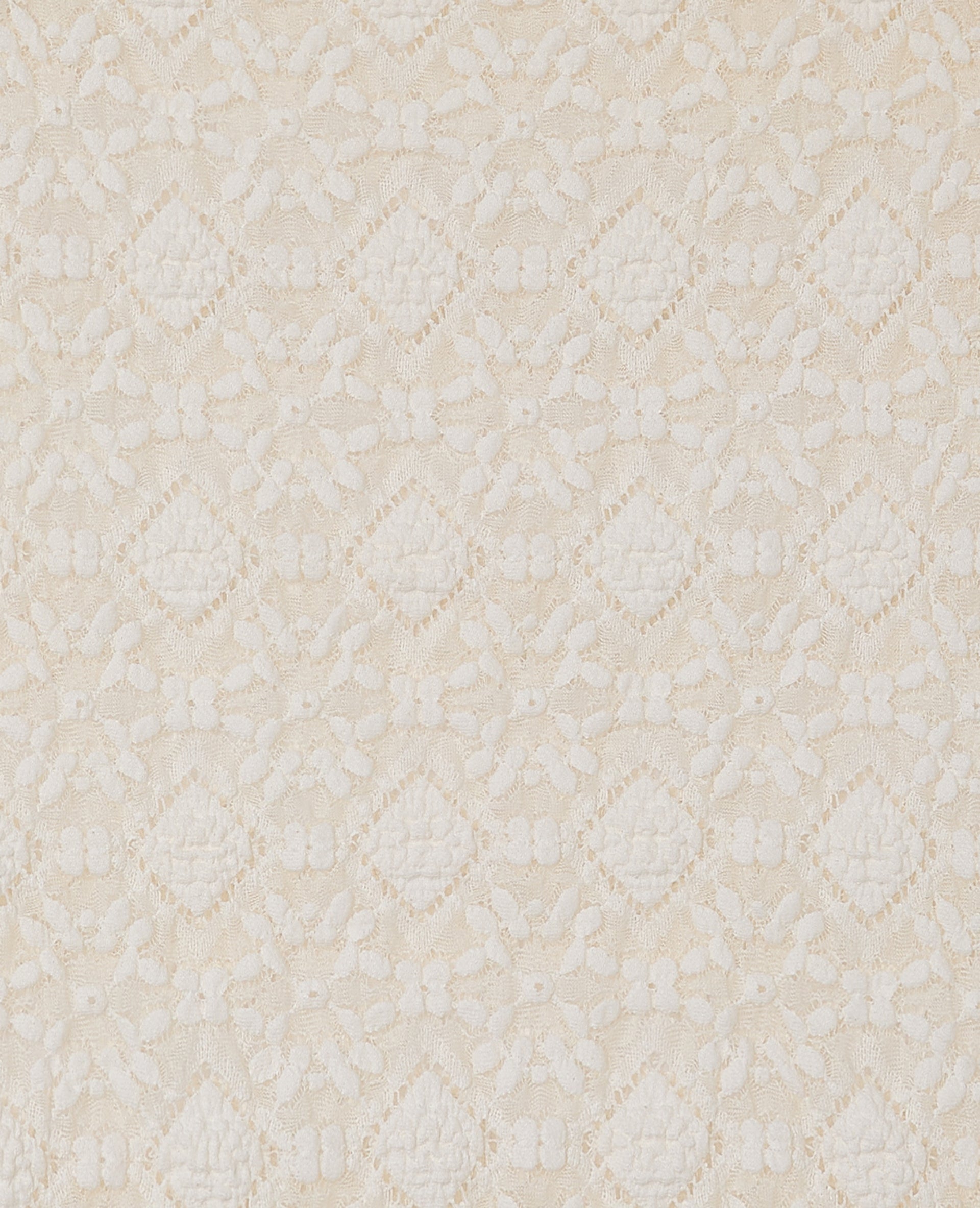 Jupe Maxi en Dentelle | Superposition Transparente et Silhouette Droite